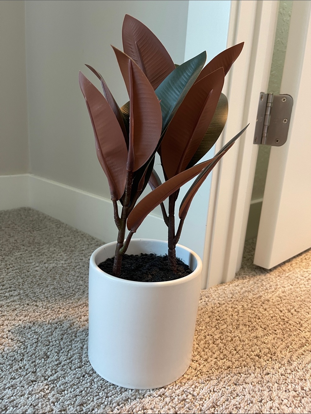 Faux Rubber Plant in Brown and Green Decorative Pot